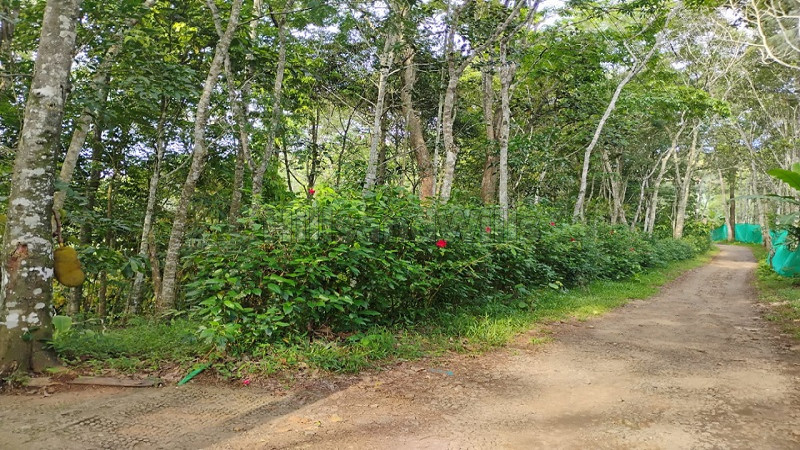 ₹1.90 Cr&nbsp;|&nbsp;5 acres agriculture land for sale  in anachal munnar