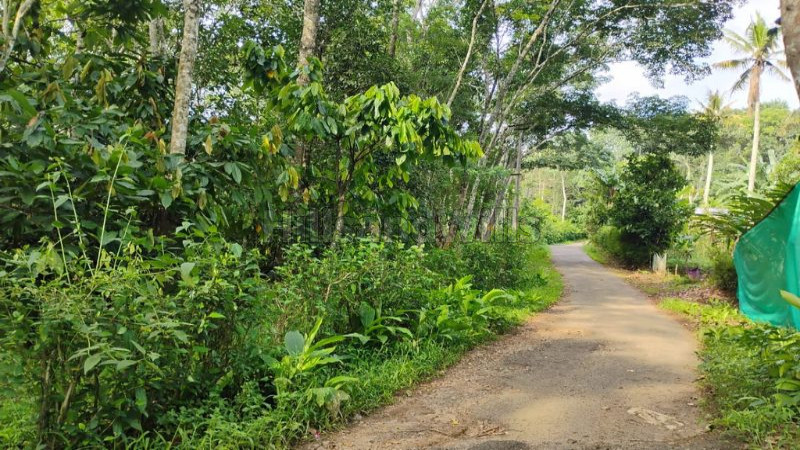 ₹1.90 Cr&nbsp;|&nbsp;5 acres agriculture land for sale  in anachal munnar