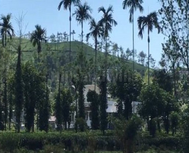 2 acres tea estate for sale in devala gudalur 2 acres tea estate for sale in devala gudalur