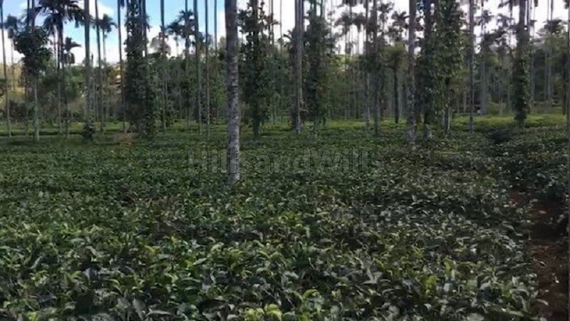 ₹3.75 Cr&nbsp;|&nbsp;2 acres tea estate for sale  in devala gudalur