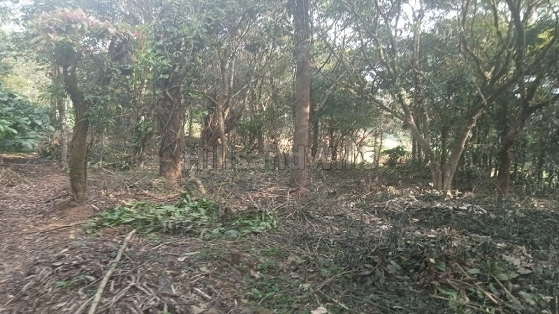 ₹68 Lac&nbsp;|&nbsp;1.65 acres coffee estate for sale  in bhagamandala coorg