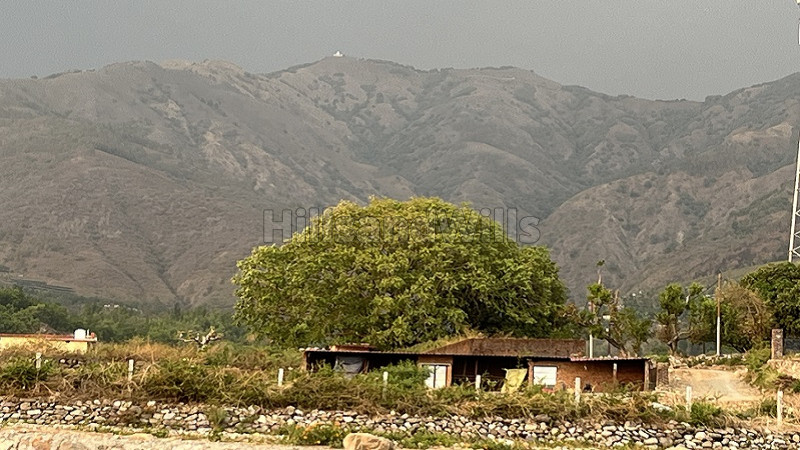 ₹29 Lac&nbsp;|&nbsp;200 sq.yards residential plot for sale  in near chakrata road mussoorie