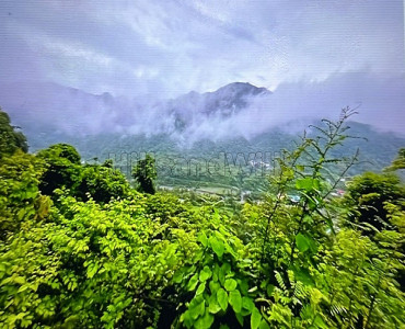 200 sq.yards residential plot for sale  in near chakrata road mussoorie