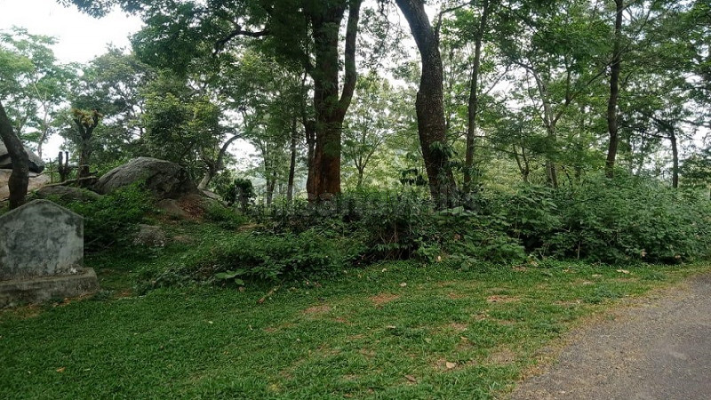 ₹125 Cr&nbsp;|&nbsp;500 acres agriculture land for sale  in kotagiri
