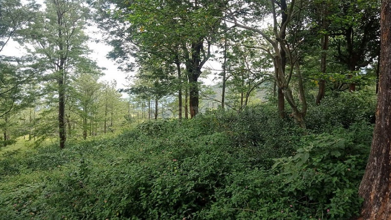 ₹125 Cr&nbsp;|&nbsp;500 acres agriculture land for sale  in kotagiri
