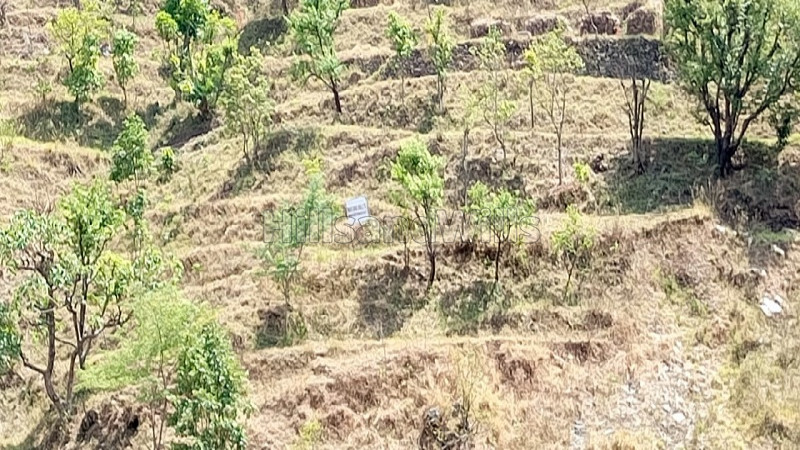 ₹15 Lac&nbsp;|&nbsp;110 sq.yards residential plot for sale  in agrakhal, narendra nagar near rishikesh