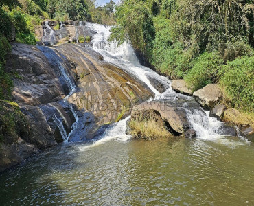 170 acres pepper & cardamom estate for sale  in kodaikanal