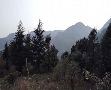 25 acres commerical land for sale  in nagar palika mussoorie