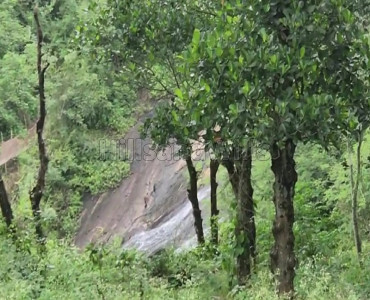 200 acres organic coffee & pepper estate for sale  in kodaikanal