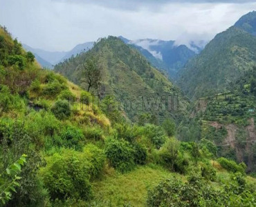 30 bigha agriculture land for sale  in zalaf gussan road shimla
