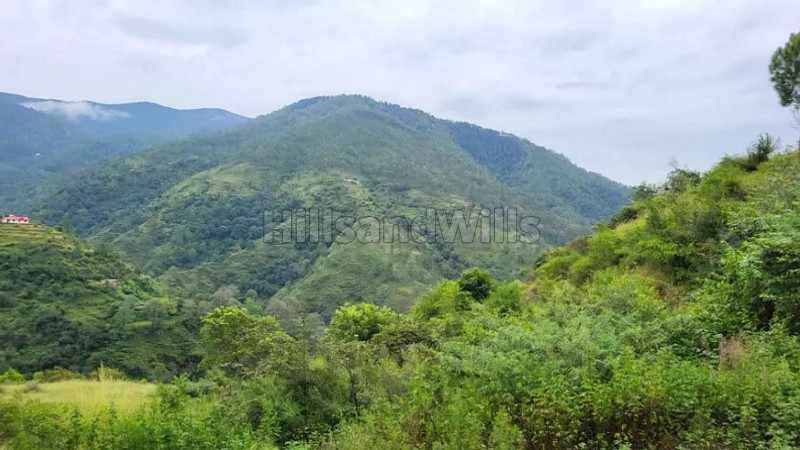 ₹21 Cr | 30 bigha agriculture land for sale in zalaf gussan road shimla