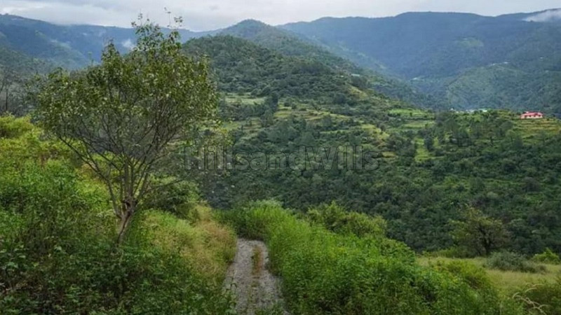 ₹21 Cr | 30 bigha agriculture land for sale in zalaf gussan road shimla