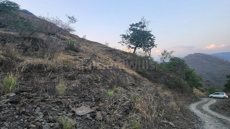₹21 Cr | 30 bigha agriculture land for sale in zalaf gussan road shimla