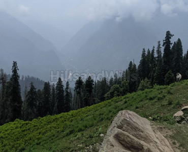 45 bigha commerical land for sale in waknaghat near shimla 45 bigha commerical land for sale in waknaghat near shimla