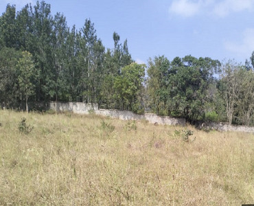 8720 sq.ft. commerical land for sale  in mangalam village yelagiri