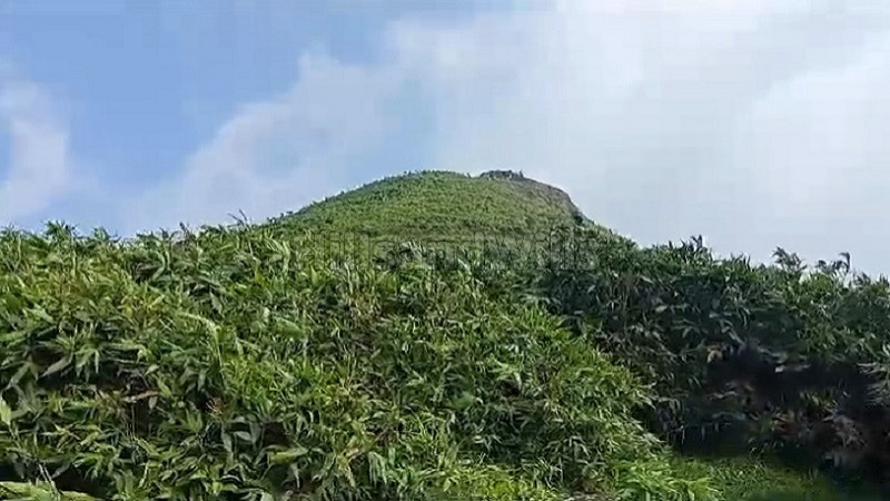 ₹550 Cr&nbsp;|&nbsp;550 acres coffee estate for sale  in mekkarai village courtallam