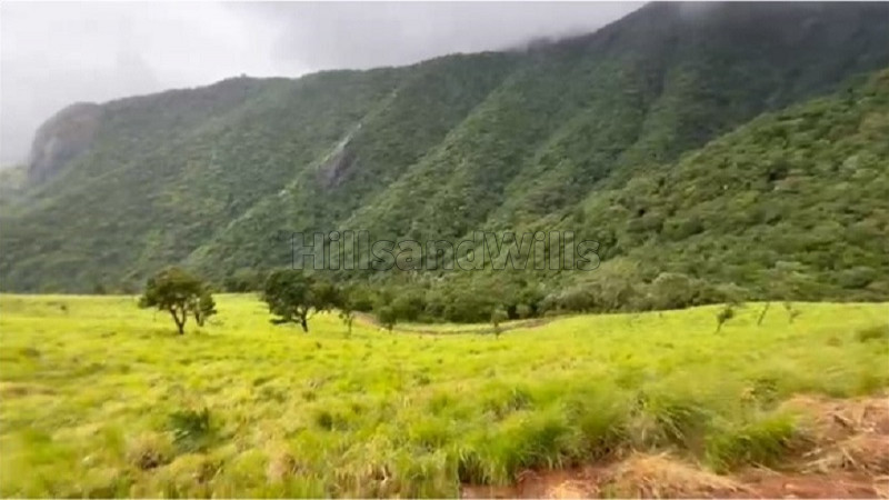 ₹550 Cr&nbsp;|&nbsp;550 acres coffee estate for sale  in mekkarai village courtallam