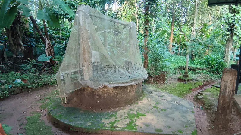 ₹75 Lac&nbsp;|&nbsp;3bhk independent house for sale  in poothadi wayanad