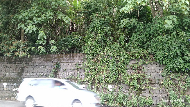 ₹6 Cr | 1 acres agriculture land for sale in tiger sholai perumalmalai kodaikanal