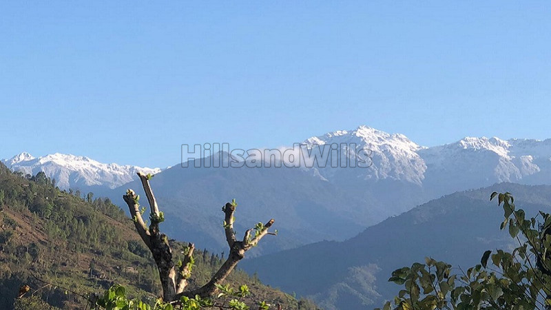 ₹70 Lac&nbsp;|&nbsp;1 acres agriculture land for sale  in kalimpong darjeeling