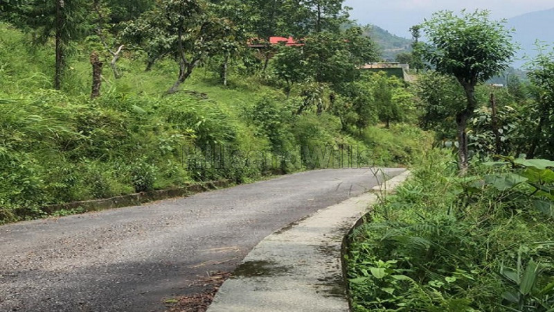 ₹70 Lac&nbsp;|&nbsp;1 acres agriculture land for sale  in kalimpong darjeeling