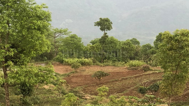 ₹70 Lac&nbsp;|&nbsp;1 acres agriculture land for sale  in kalimpong darjeeling