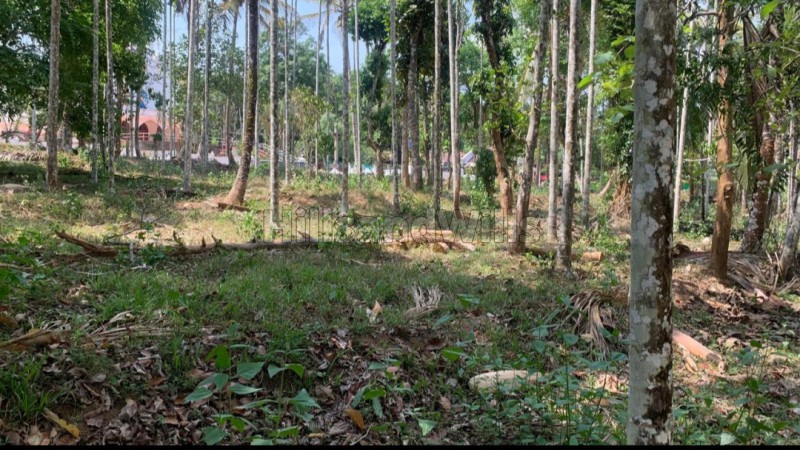 ₹80 Lac&nbsp;|&nbsp;2.5 acres residential plot for sale  in muthanga wayanad