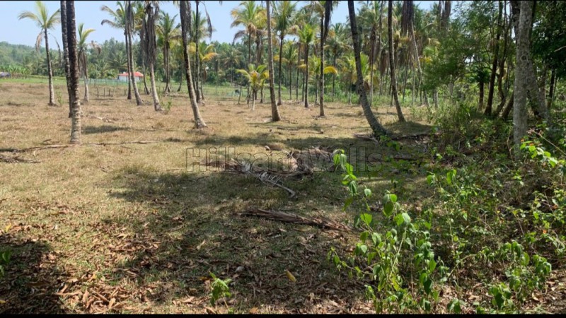 ₹80 Lac&nbsp;|&nbsp;2.5 acres residential plot for sale  in muthanga wayanad