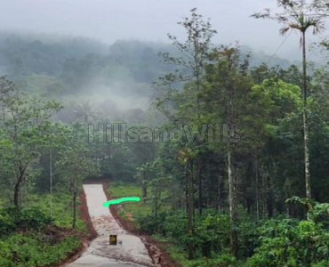10 cents residential plot for sale in chunda vythiri wayanad 10 cents residential plot for sale in chunda vythiri wayanad