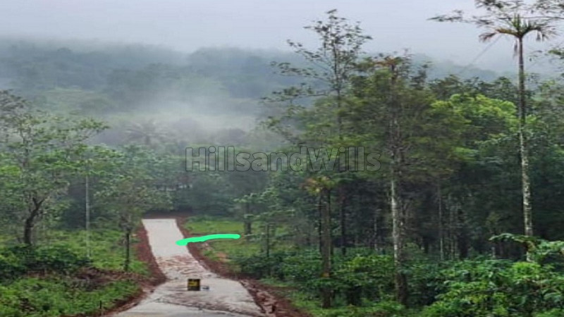 ₹17 Lac&nbsp;|&nbsp;10 cents residential plot for sale  in chunda vythiri wayanad