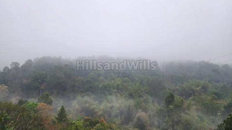₹17 Lac&nbsp;|&nbsp;10 cents residential plot for sale  in chunda vythiri wayanad