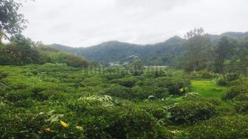 ₹53 Lac&nbsp;|&nbsp;53 cents tea estate for sale  in kannerimukku, kotagiri