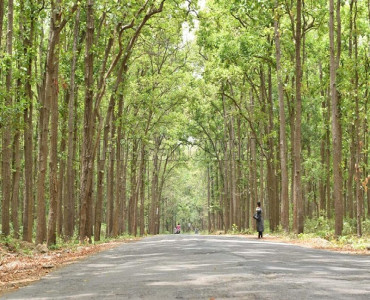 660 sq.yards agriculture land for sale  in dunga road dehradun