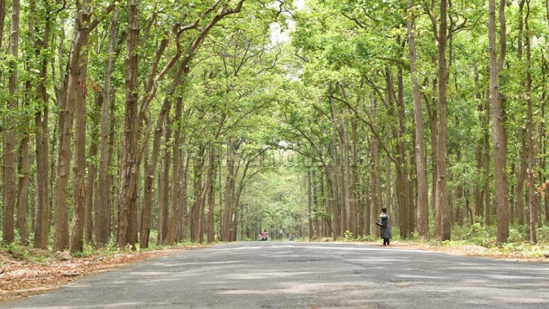 ₹85 Lac&nbsp;|&nbsp;660 sq.yards agriculture land for sale  in dunga road dehradun