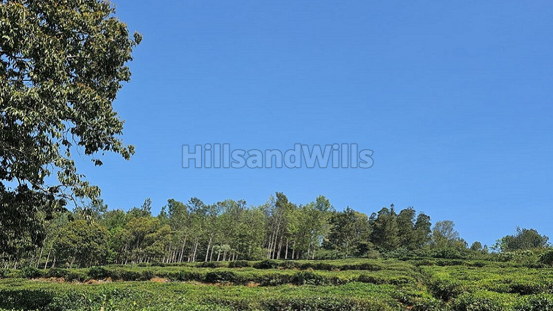 ₹30 Lac&nbsp;|&nbsp;10 cents agriculture land for sale  in kannerimukku kotagiri