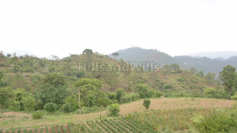 ₹19.44 Cr&nbsp;|&nbsp;105 bigha agriculture land for sale  in solan