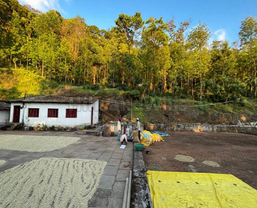 592 acres coffee estate for sale  in kemmanagundi chikmagalur