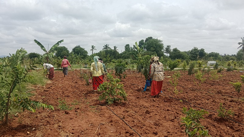 ₹16.26 Lac&nbsp;|&nbsp;6534 sq.ft. agriculture land for sale  in chikkaballapur madhugiri hills