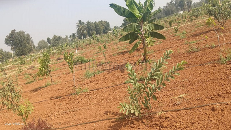 ₹16.26 Lac&nbsp;|&nbsp;6534 sq.ft. agriculture land for sale  in chikkaballapur madhugiri hills