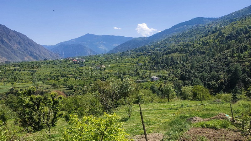 ₹2.50 Cr | 5 bigha agriculture land for sale in mandi prasher lake near kullu-manali
