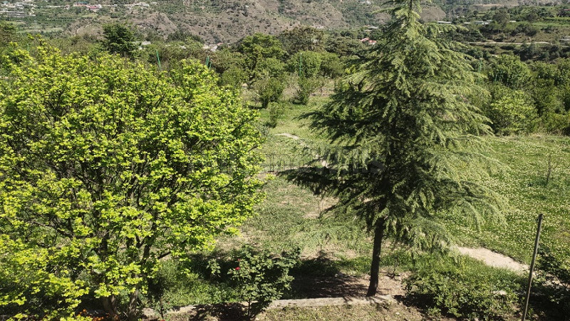 ₹2.50 Cr | 5 bigha agriculture land for sale in mandi prasher lake near kullu-manali