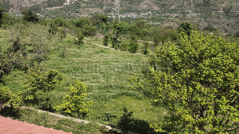 ₹2.50 Cr | 5 bigha agriculture land for sale in mandi prasher lake near kullu-manali