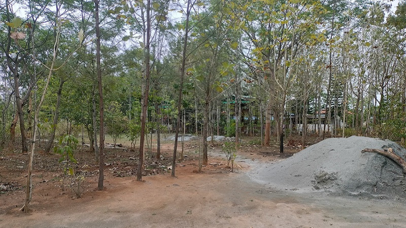 ₹15 Lac&nbsp;|&nbsp;25 cents residential plot for sale  in thalavadi near nilgiris