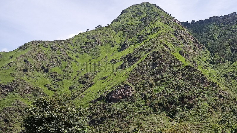 ₹2 Cr | 30 bigha residential plot for sale in chail solan