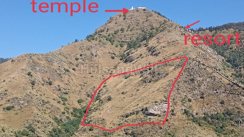 ₹2 Cr | 30 bigha residential plot for sale in chail solan