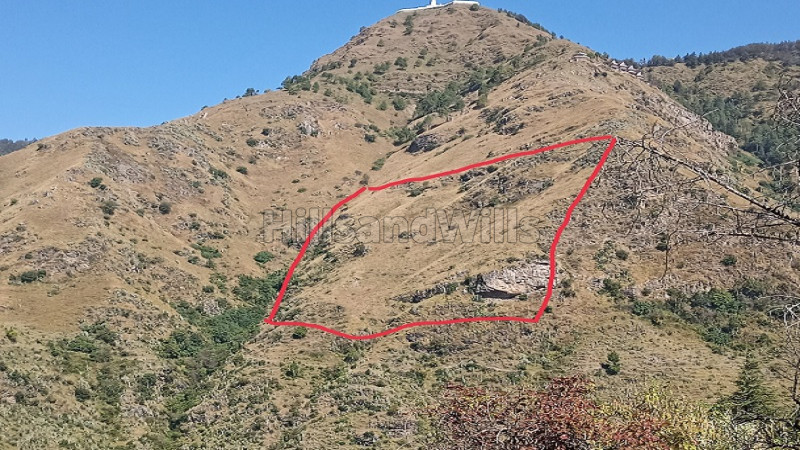 ₹2 Cr | 30 bigha residential plot for sale in chail solan