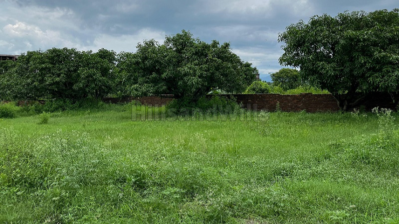 ₹24 Lac&nbsp;|&nbsp;186 gaj residential plot for sale  in sahaspur dehradun