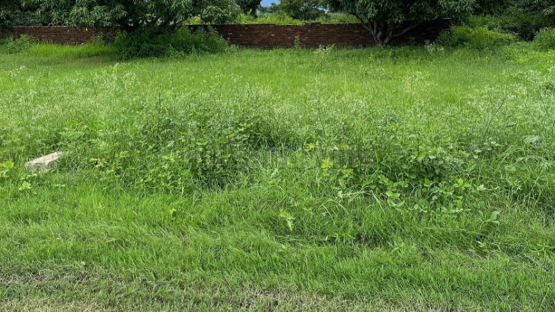 ₹24 Lac&nbsp;|&nbsp;186 gaj residential plot for sale  in sahaspur dehradun