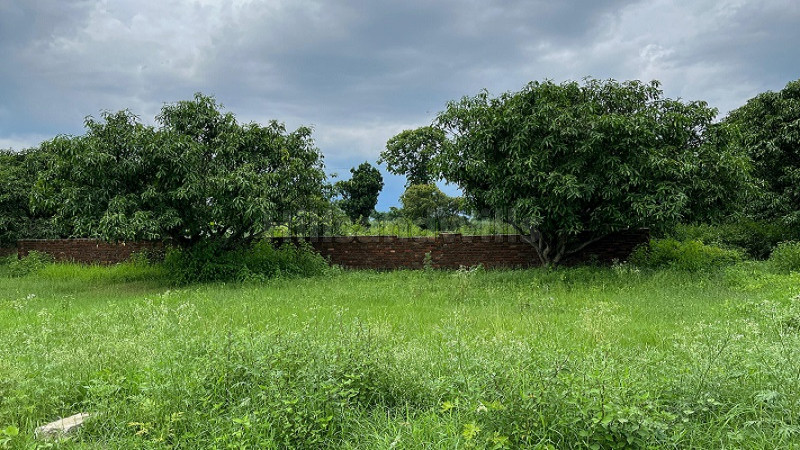 ₹24 Lac&nbsp;|&nbsp;186 gaj residential plot for sale  in sahaspur dehradun