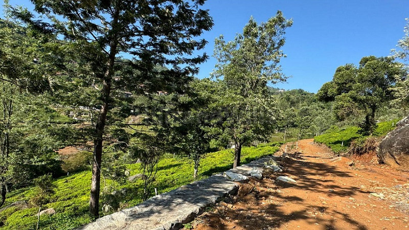 ₹17.50 Cr&nbsp;|&nbsp;5 acres  scenic view tea estate for sale  in aravenu kotagiri